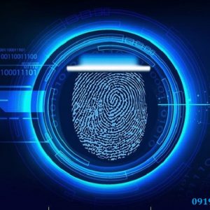 Công Nghệ Vân Tay Live-Scan Là Gì? Ứng Dụng Khóa Điện Tử